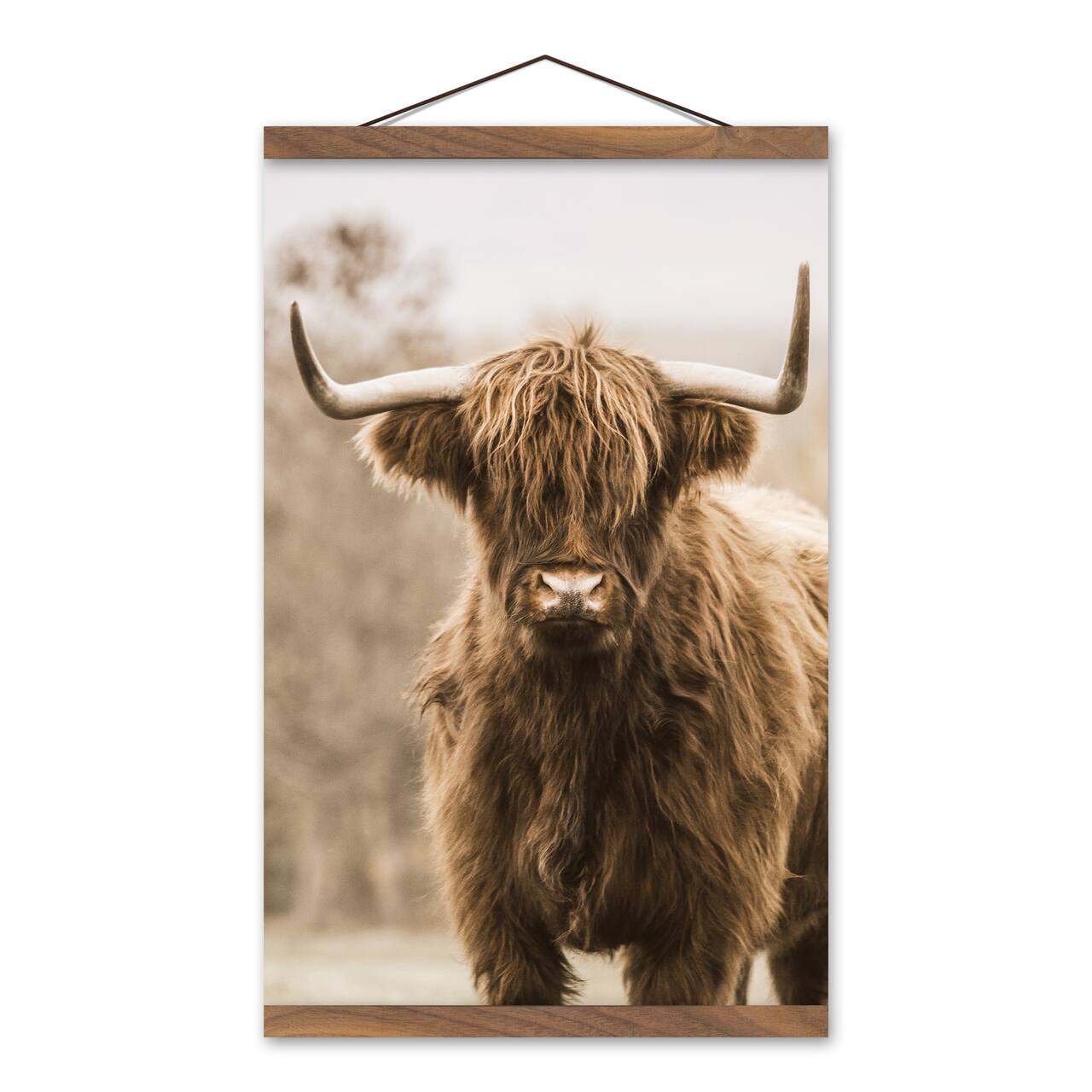 Highland Cow Close Up 12" x 18" Teak Hanging Canvas